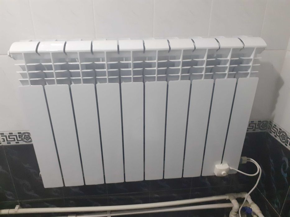 Tenli qovurg'a sifatli sotiladi