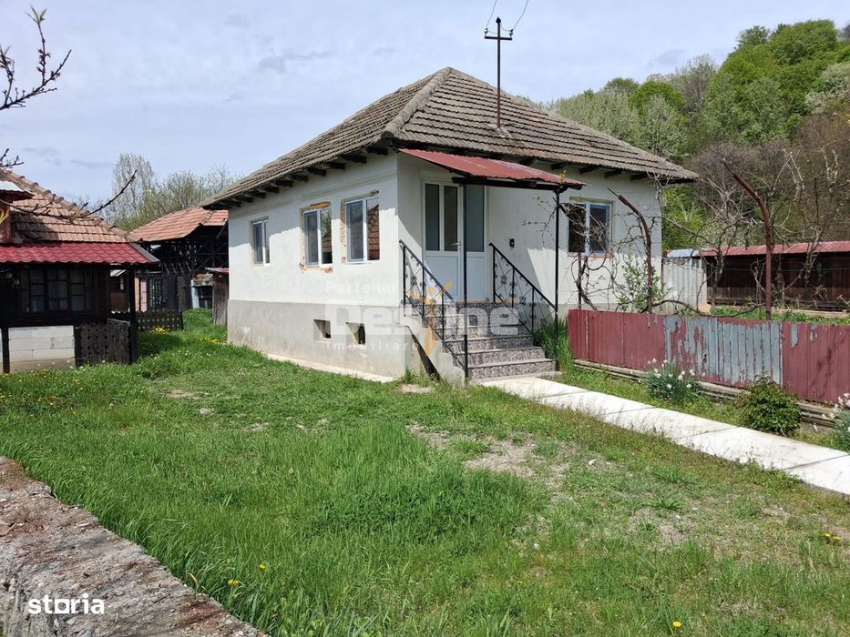 Casa renovata complet, 3068 mp teren, langa Manastirea Surpatele-Valce