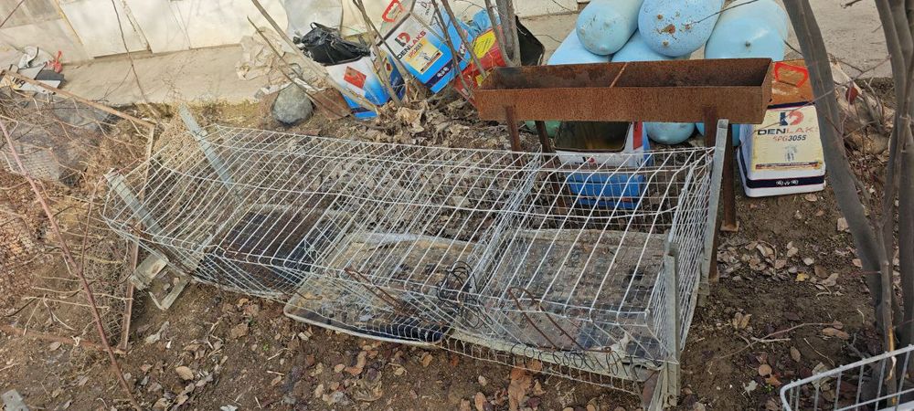 Сетки и клетки разные