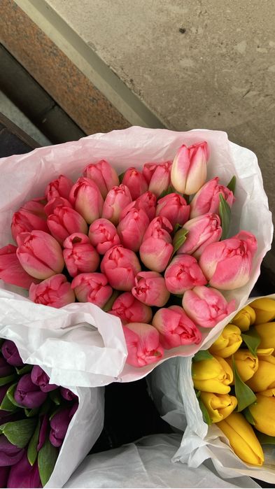 Тюльпаны Алматы 8 марта Уш Сункар