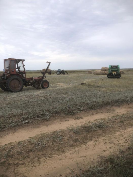 Продам крестьянское хозяйство