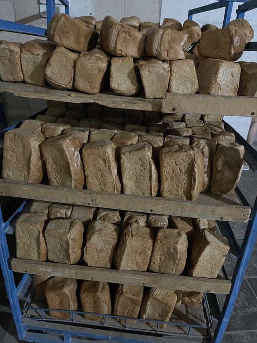 Brak non sotiladi quylar va tovuqlarga