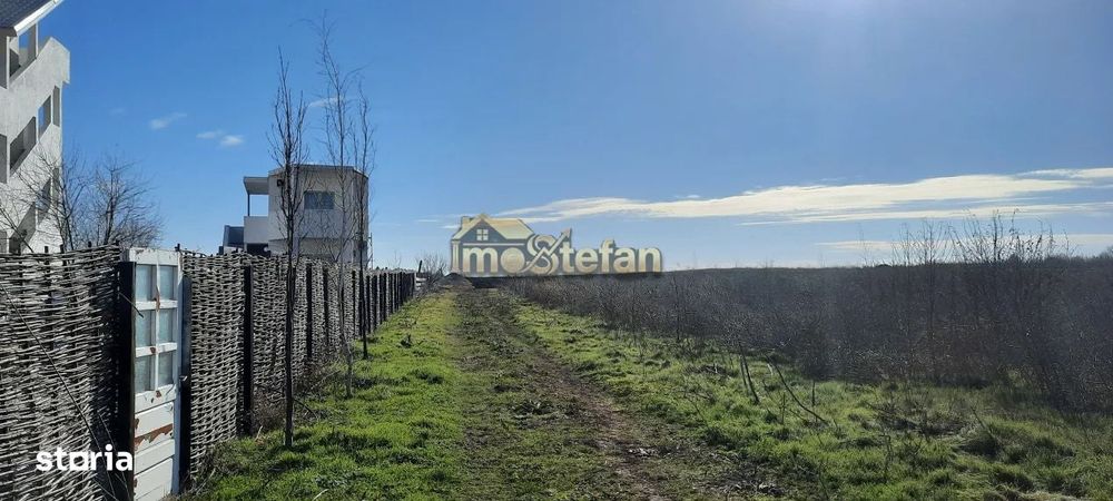 Teren Intravilan Vama Veche | 7.495 mp | Oportunitate Investiție