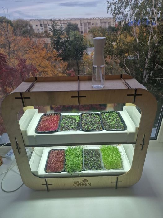 Мини проращеватель для дома