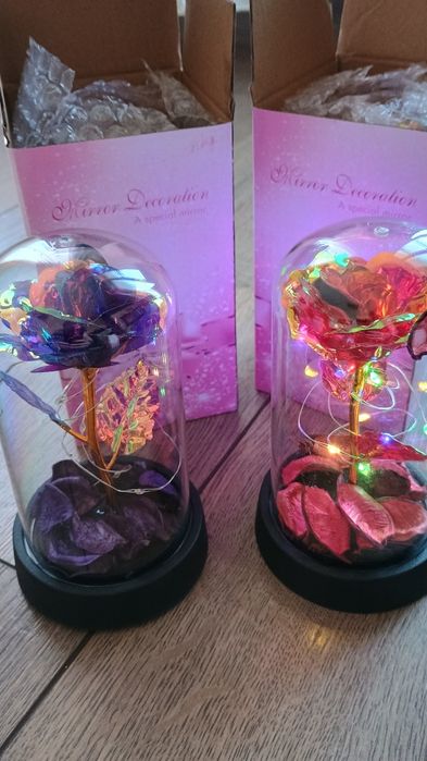 Cupole trandafiri ai ursuleți