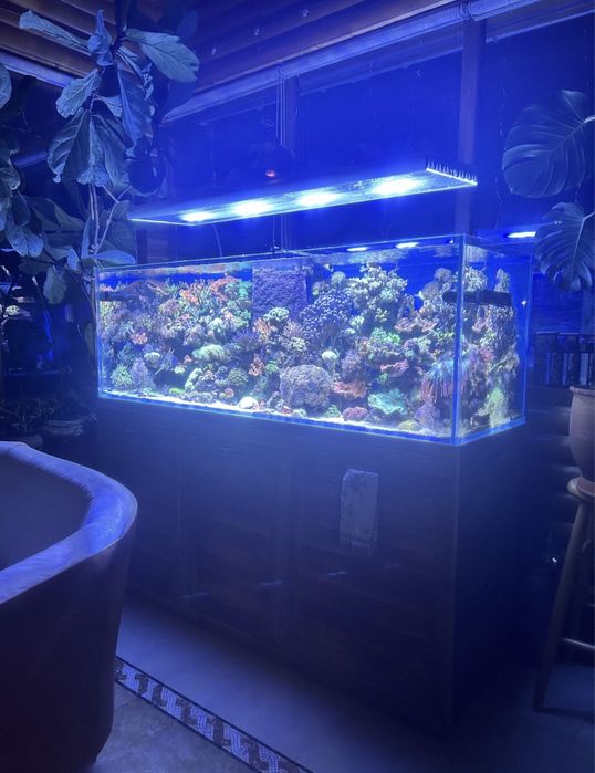 Продажа рыб и его обслуживание