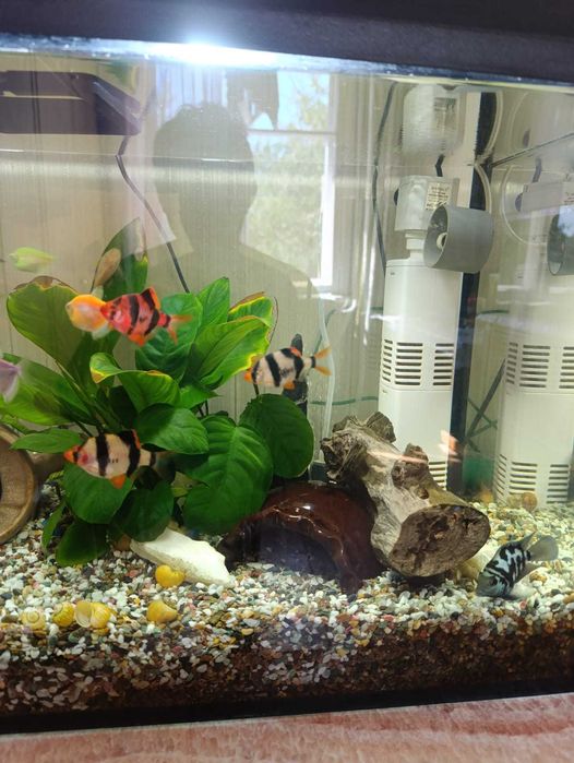 Продам новый аквариум с тумбой