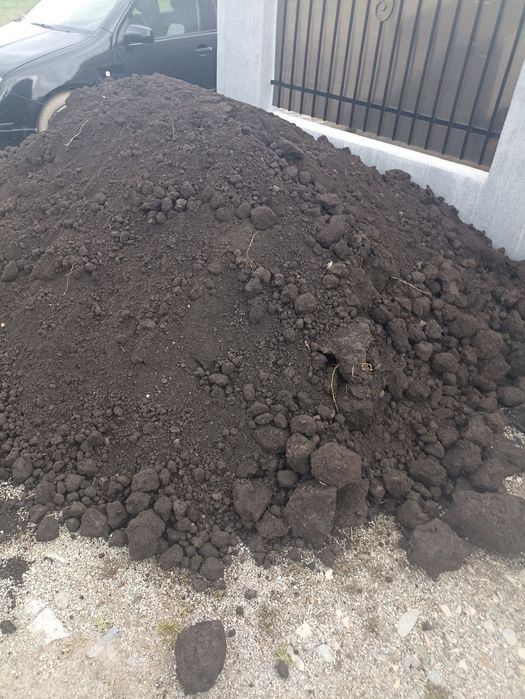 Pamant , pamant vegetal negru