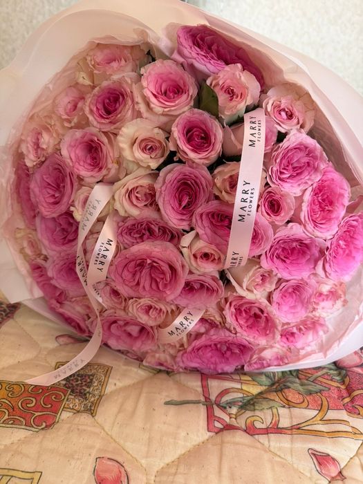 Цветы розы свежие