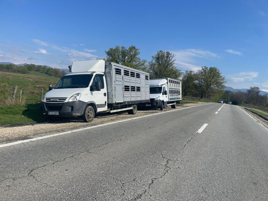 Transport animale vii autorizat în toată tara dj ot tr  gj db AG Vl SB