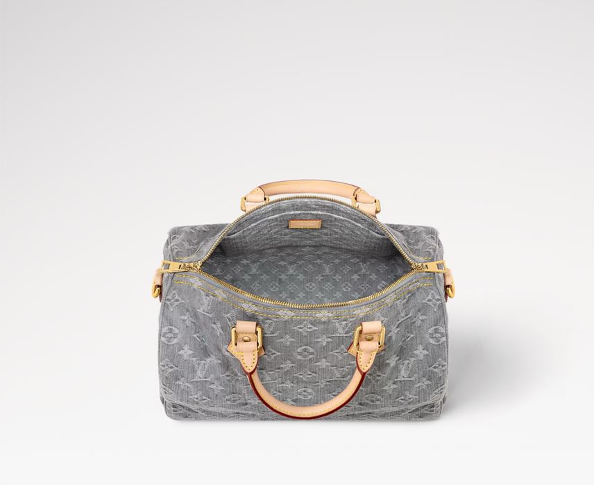 Сумка LV Louis Vuitton Speedy Soft 30