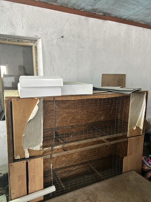 Брудер для цыплят