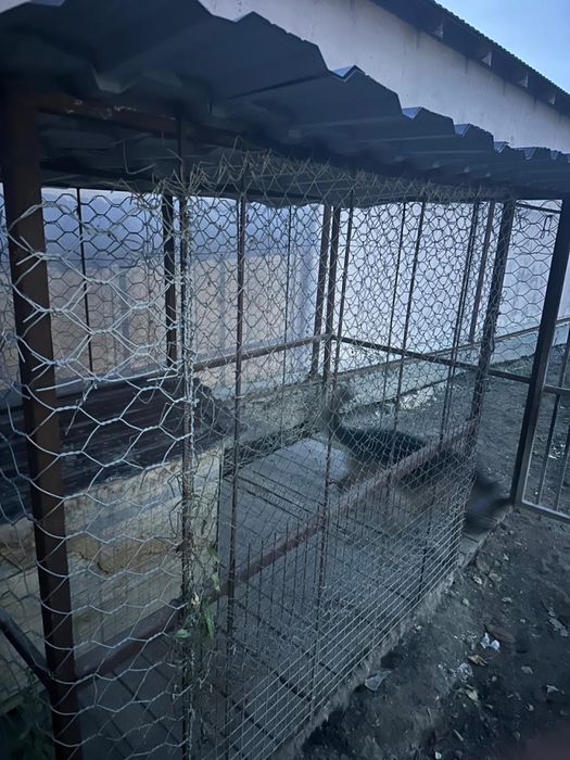 Вольер для собаки