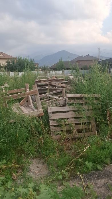 Продам поддоны обычные