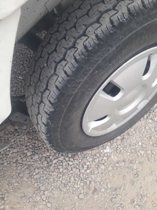 Damas balon laboniki