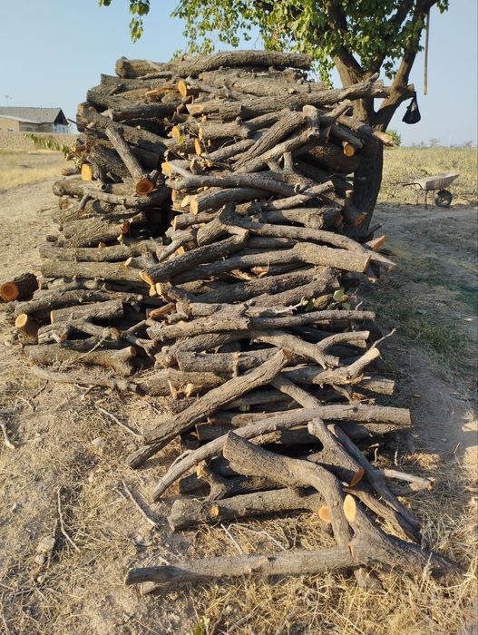 Урик Утин сотилади