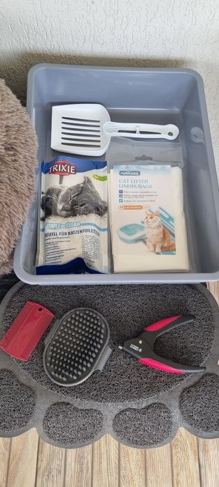 Set accesorii si hrana pisici