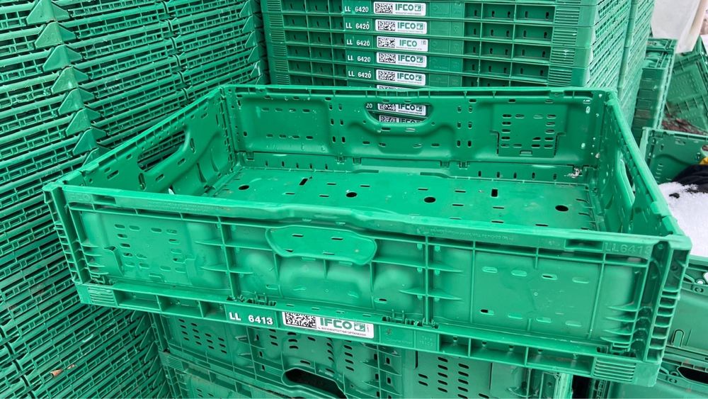 Lazi pliabile din plastic diferite dimensiuni ifco