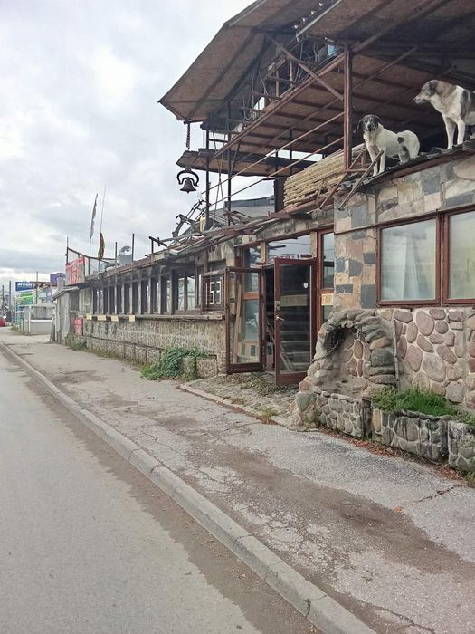 Заведение под наем