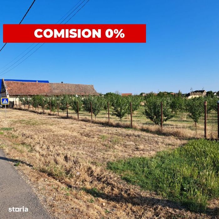 Teren cu livada si Casa veche in Șandra