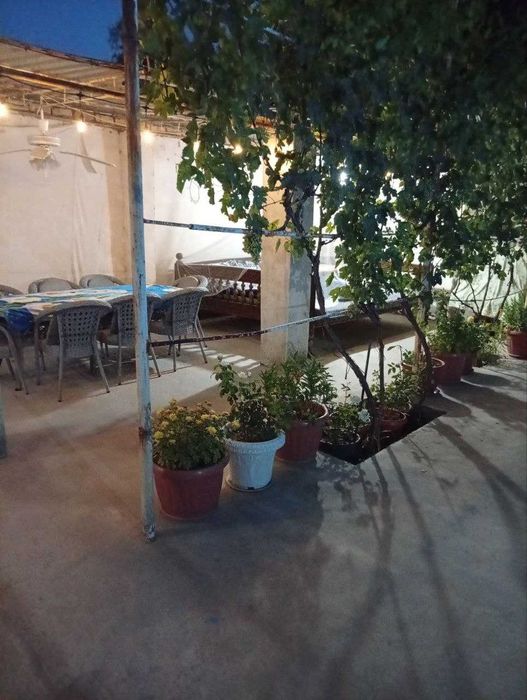 Arenda dacha Аренда дача посуточно