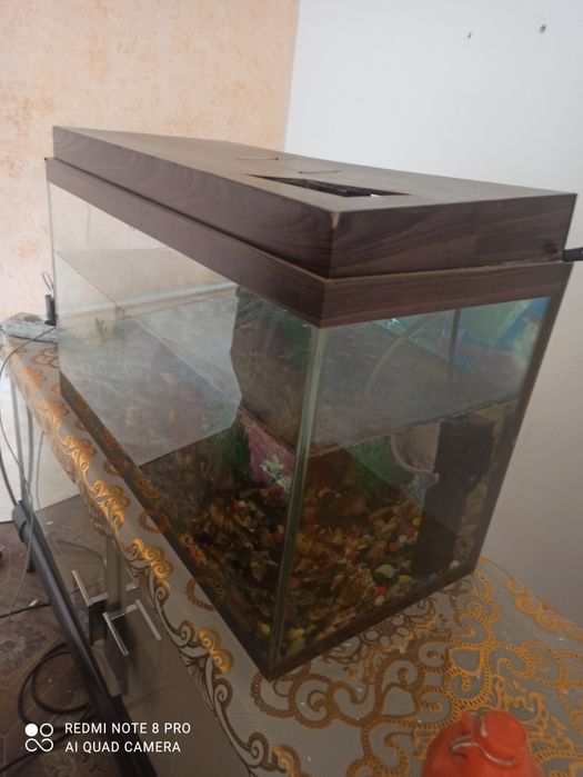 Аквариум для рыбы