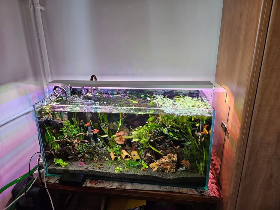 Lampa Custom pentru acvariu 100 cm