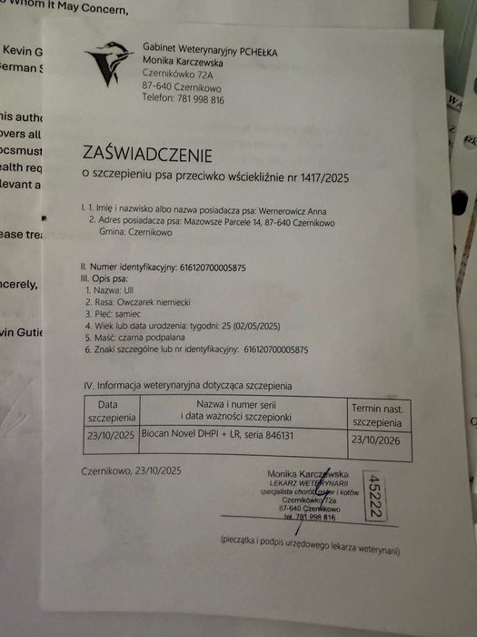 немска очарка дългокосместа