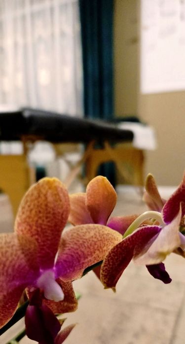 Vand pat masaj / terapie