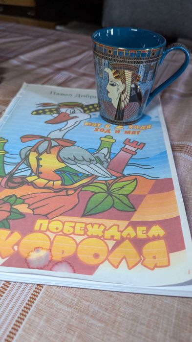 РЕПЕТИТОР
 Математика
 Физика
 Шахматы
 Сила мозга, Логика, IQ