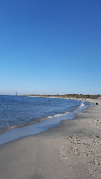 Бизнес килишга жой бор