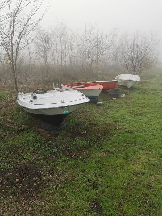 Bărci fibra aduse acum Germania