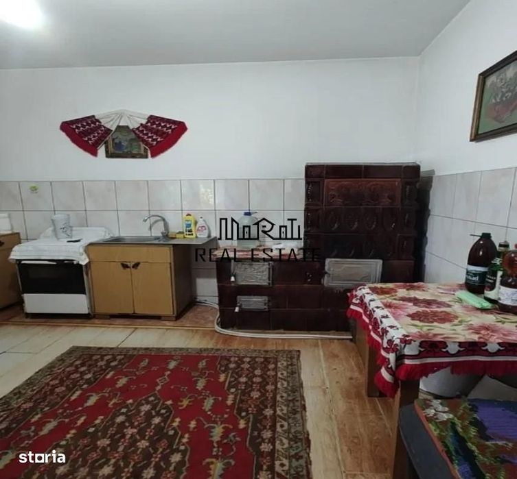 Casa P+M cu teren generos si loturi suplimentare in Baia de Cris