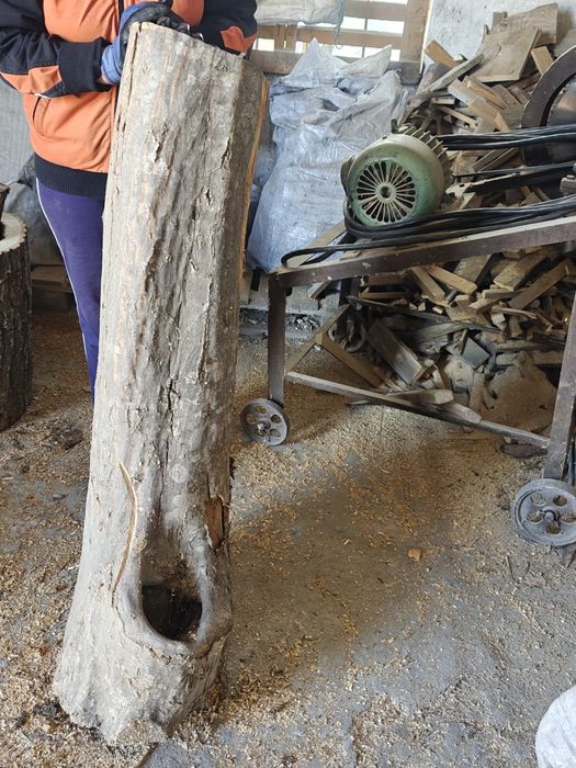 Хралупа различни видове.