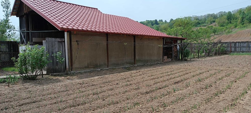 Casă de vânzare în Gorj zonă liniștită, colinară