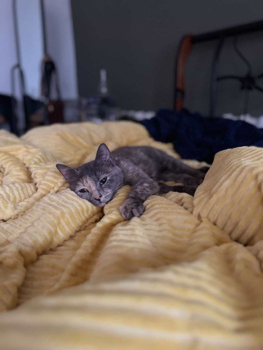 В самые добрые и ответсвенные руки.