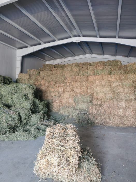 Vând Baloți de lucerna