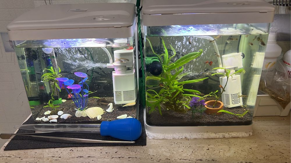 Продам два аквариума