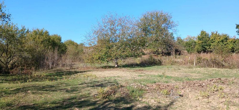 Teren 3468 mp,  Comuna Bârnova , sat Cercu  + Casă inclusă în preț