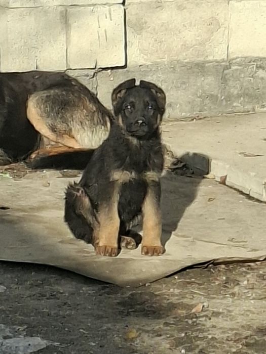 Отборные мальчик девочка.