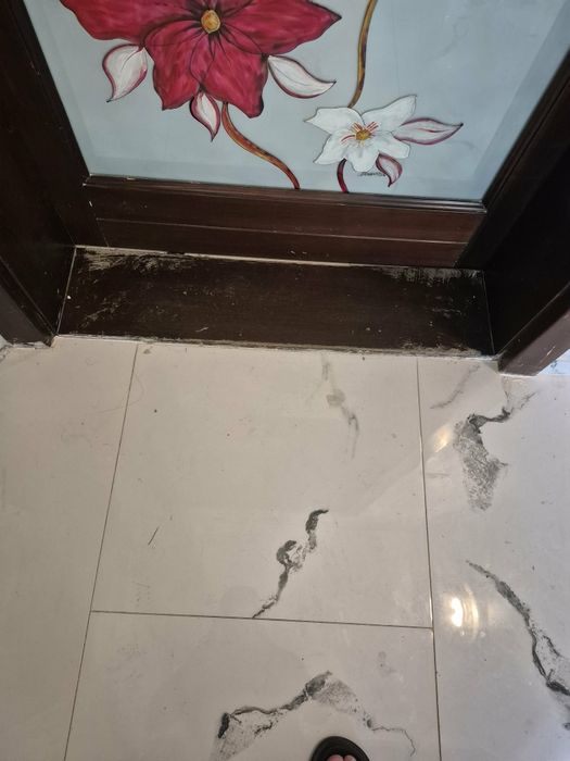 Uși decorative din lemn de tei.