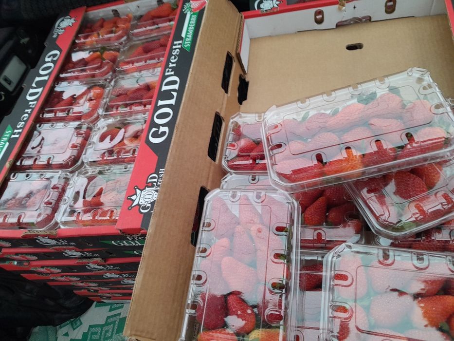 Клубника Египет Свежий