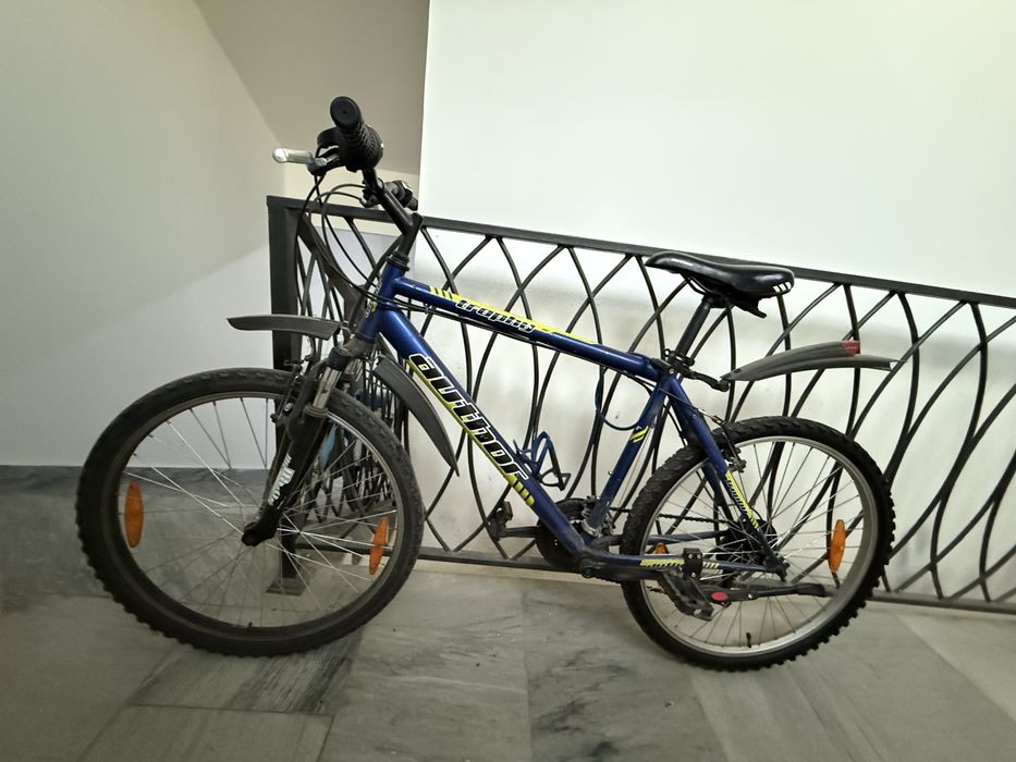 Чешский велосипед Author