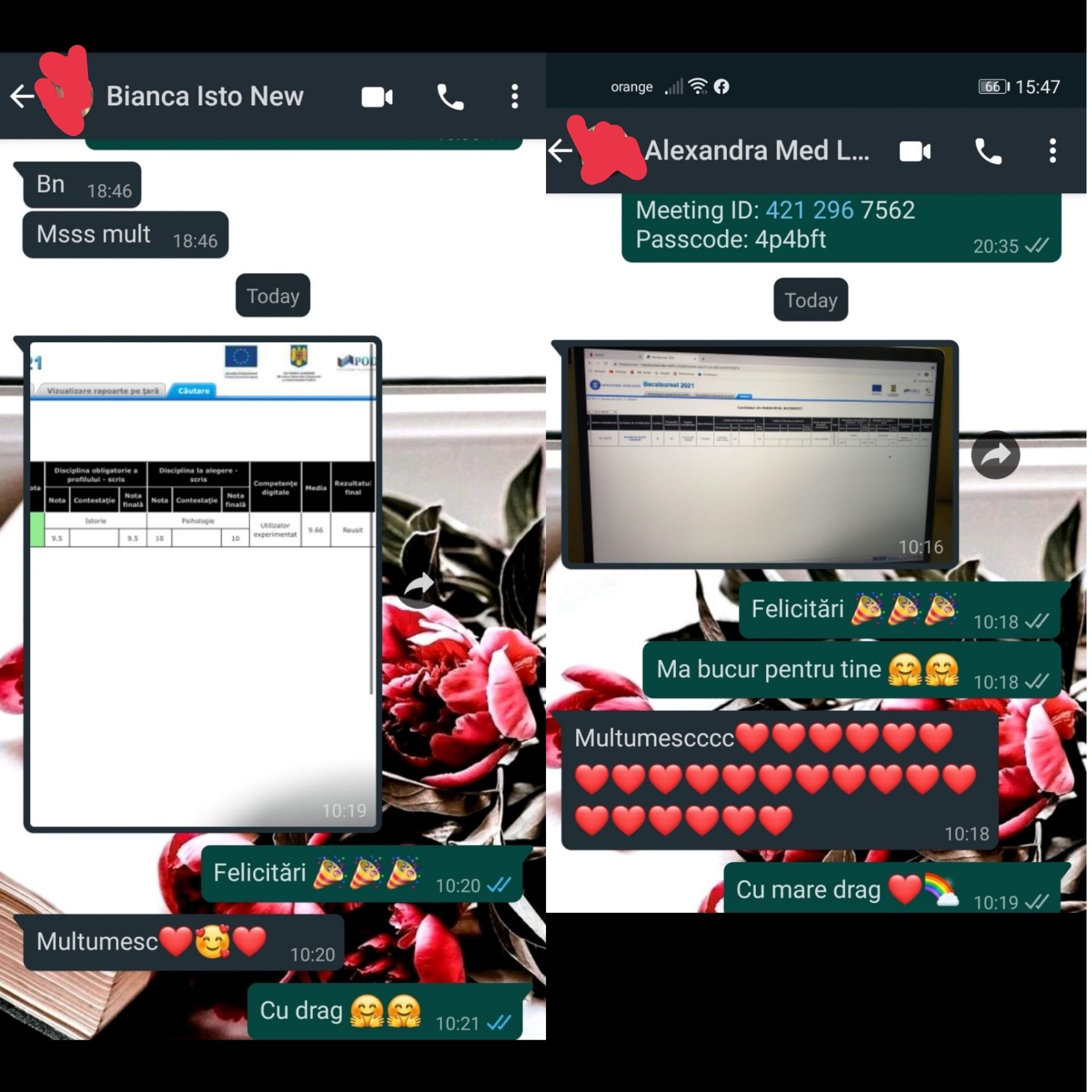 Meditatii bac istorie 2024 pregatire online bucuresti sectorul 1 olx ro