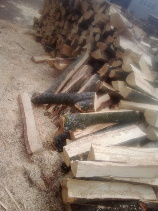 Vând lemne de foc fag crepatura și răritură  detali la tel 0745362981