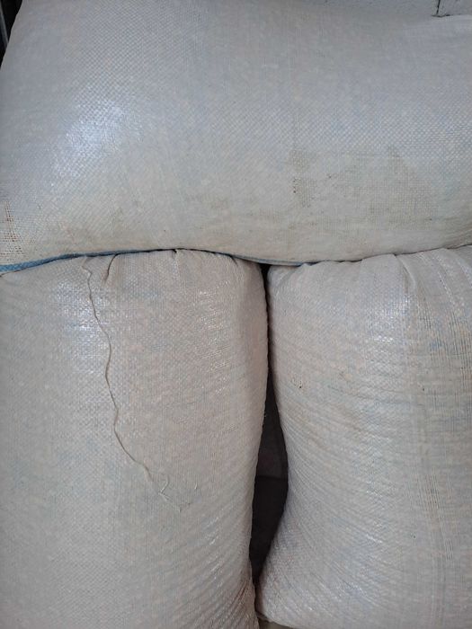 Vand porumb boabe si triticale
