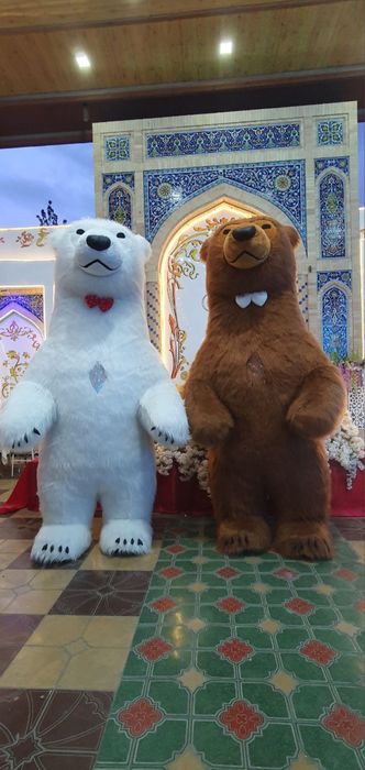 Teddy ayiqlar toy va tadbirlar uchun