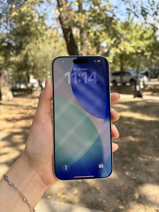 17 Pro Max Esim/256гб/100%