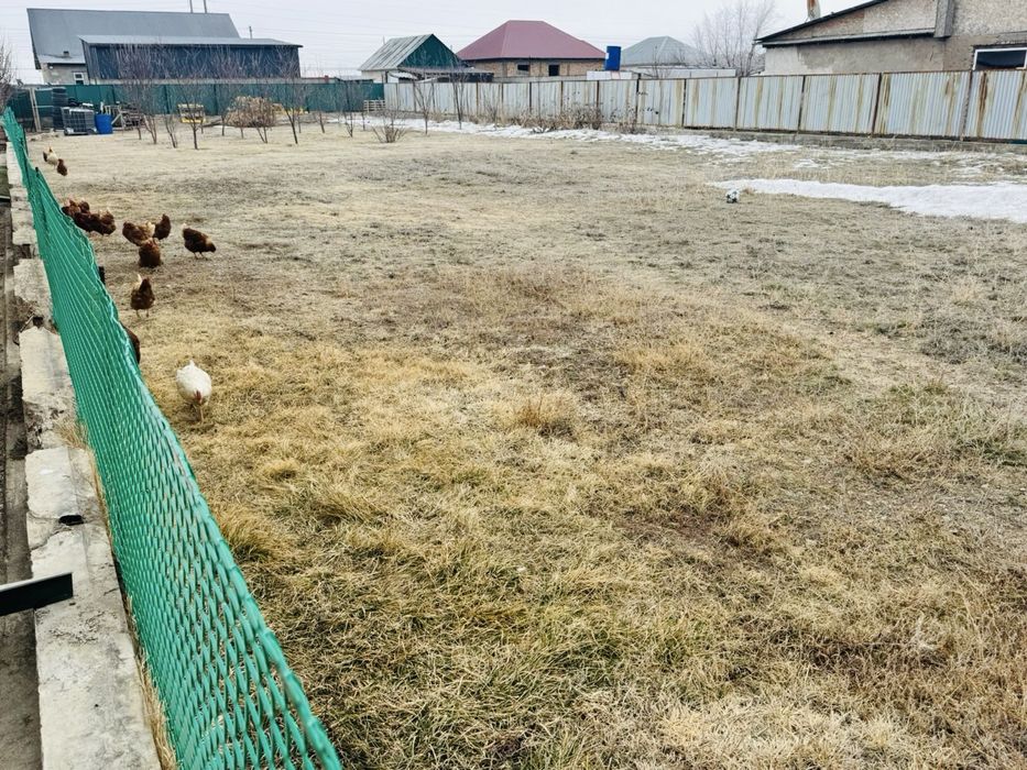 Продаю огороженный участок