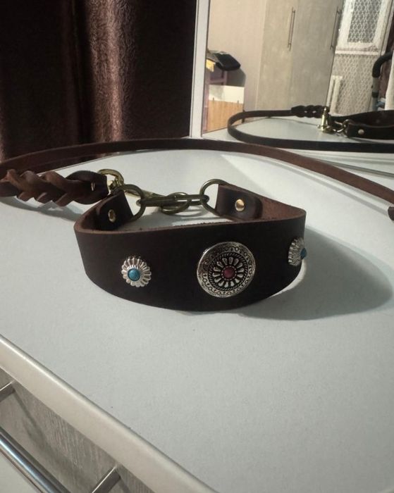 Тазыға әдемі қарғы баулар сатылады